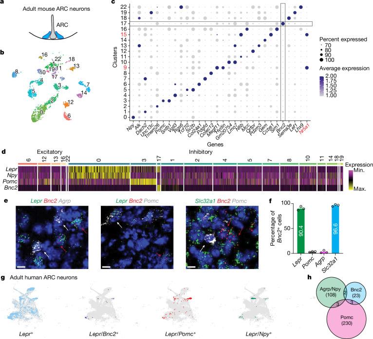 https://cdn.ncbi.nlm.nih.gov/pmc/blobs/c5ba/11618066/4c3298f8b63b/41586_2024_8108_Fig1_HTML.jpg