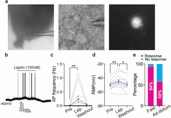 https://cdn.ncbi.nlm.nih.gov/pmc/blobs/c5ba/11618066/c59251cff745/41586_2024_8108_Fig8_ESM.jpg