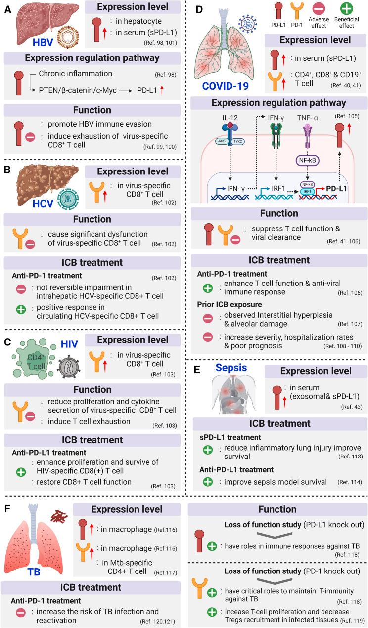 https://cdn.ncbi.nlm.nih.gov/pmc/blobs/c5ba/11638837/7cd2012ee618/gr6.jpg