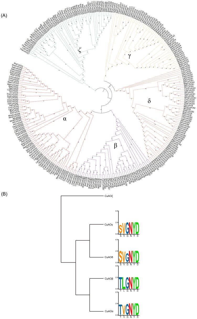 https://cdn.ncbi.nlm.nih.gov/pmc/blobs/c5bc/12058724/5f530c269966/fpls-16-1544527-g004.jpg