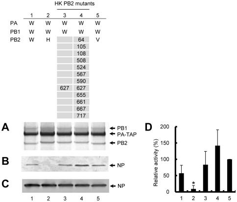 https://cdn.ncbi.nlm.nih.gov/pmc/blobs/c5c3/3289661/c1f019d76a67/pone.0032634.g005.jpg