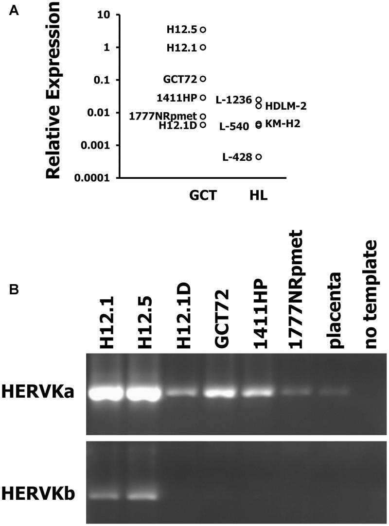 https://cdn.ncbi.nlm.nih.gov/pmc/blobs/c5c3/6013571/43090ae49d72/fmicb-09-01253-g004.jpg