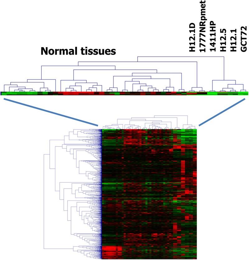https://cdn.ncbi.nlm.nih.gov/pmc/blobs/c5c3/6013571/4674209bfa4c/fmicb-09-01253-g003.jpg