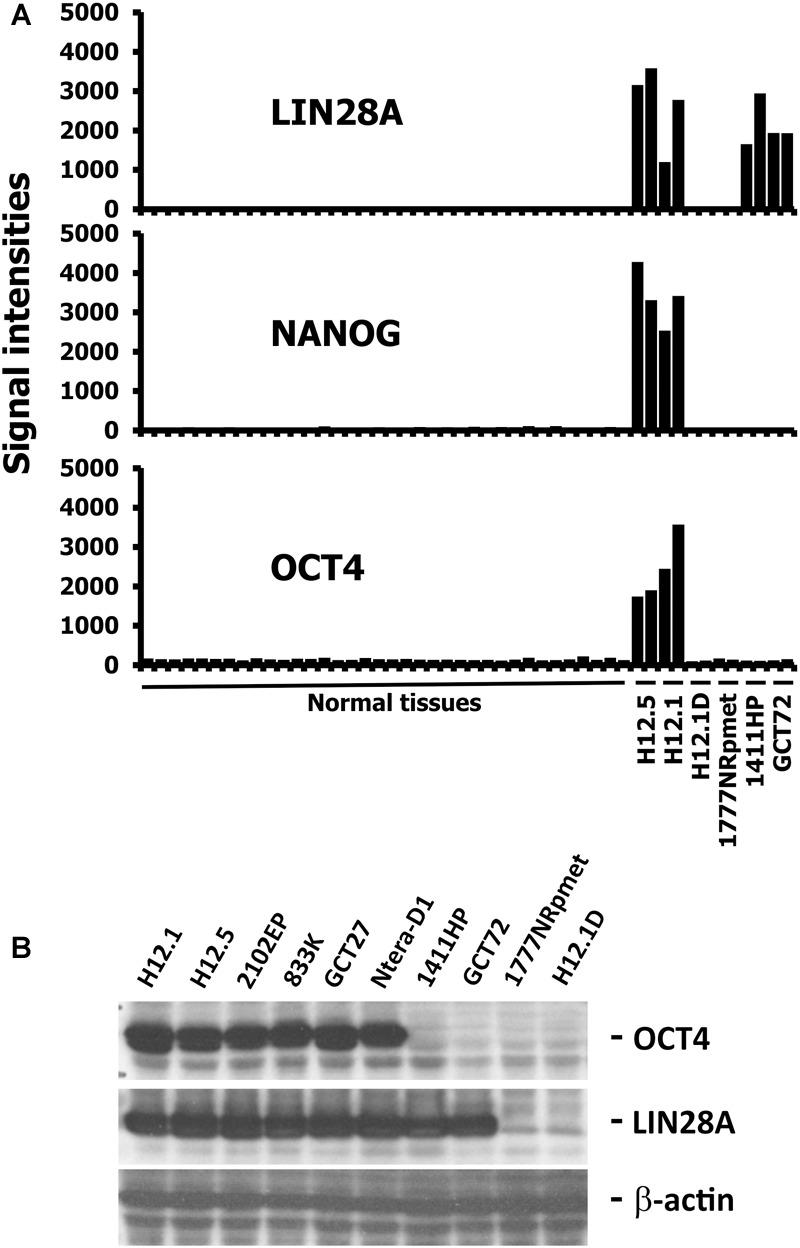 https://cdn.ncbi.nlm.nih.gov/pmc/blobs/c5c3/6013571/f8e991e4f212/fmicb-09-01253-g001.jpg