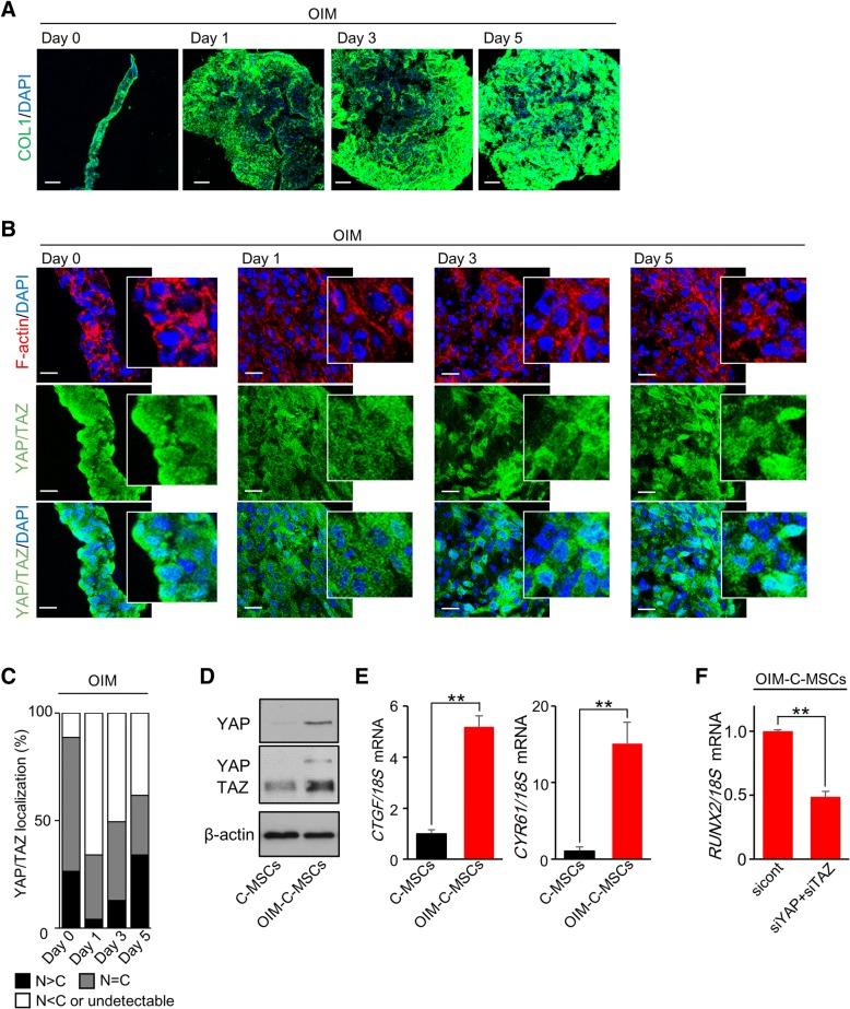 https://cdn.ncbi.nlm.nih.gov/pmc/blobs/c5c8/6286508/445b11c80ac9/13287_2018_1085_Fig3_HTML.jpg