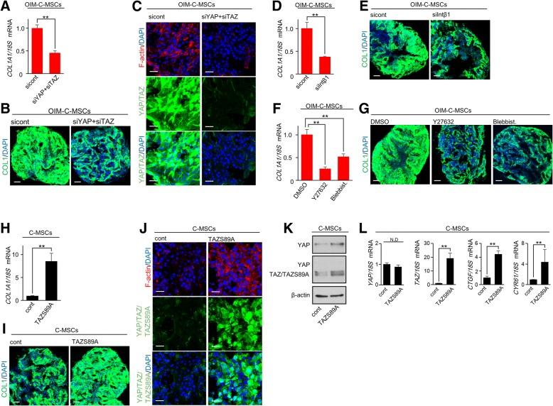 https://cdn.ncbi.nlm.nih.gov/pmc/blobs/c5c8/6286508/46bb81eabc83/13287_2018_1085_Fig6_HTML.jpg