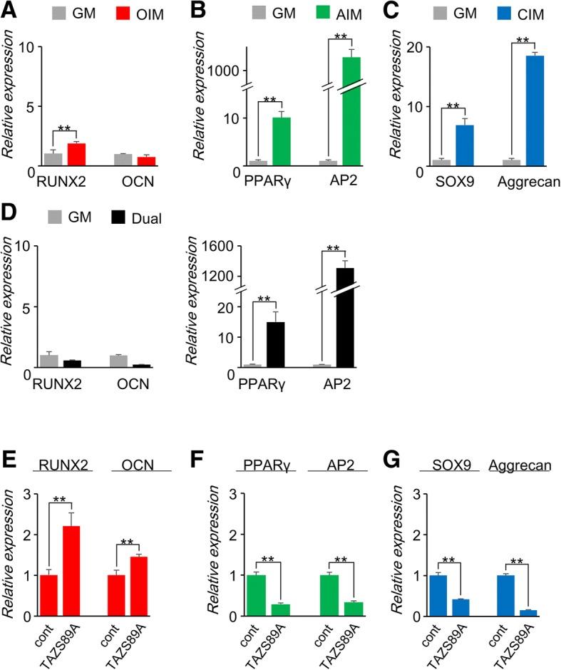 https://cdn.ncbi.nlm.nih.gov/pmc/blobs/c5c8/6286508/81c3571ff6aa/13287_2018_1085_Fig2_HTML.jpg