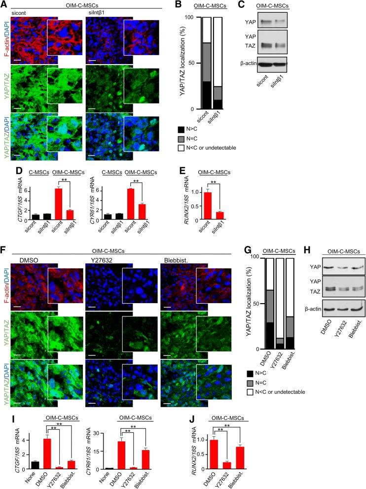 https://cdn.ncbi.nlm.nih.gov/pmc/blobs/c5c8/6286508/9607be3e346a/13287_2018_1085_Fig5_HTML.jpg