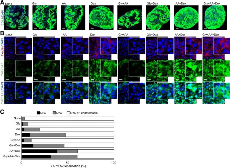 https://cdn.ncbi.nlm.nih.gov/pmc/blobs/c5c8/6286508/b0abb2d8d1c2/13287_2018_1085_Fig4_HTML.jpg