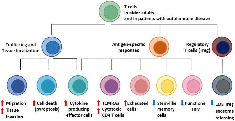 https://cdn.ncbi.nlm.nih.gov/pmc/blobs/c5c8/9261367/96d2cabe41e8/fragi-03-867950-g001.jpg