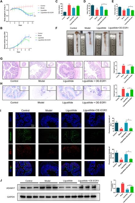 https://cdn.ncbi.nlm.nih.gov/pmc/blobs/c5ca/12404647/2aab52c5a9b9/research.0864.fig.007.jpg