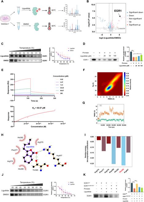 https://cdn.ncbi.nlm.nih.gov/pmc/blobs/c5ca/12404647/53599d842eeb/research.0864.fig.004.jpg