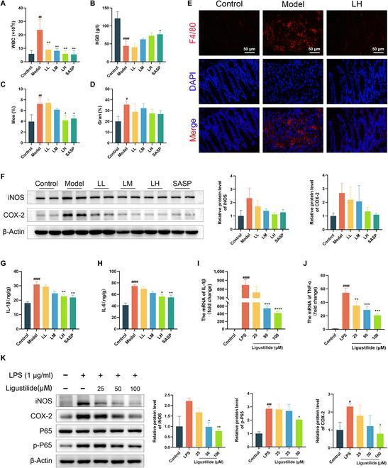 https://cdn.ncbi.nlm.nih.gov/pmc/blobs/c5ca/12404647/c03207a3b57d/research.0864.fig.003.jpg