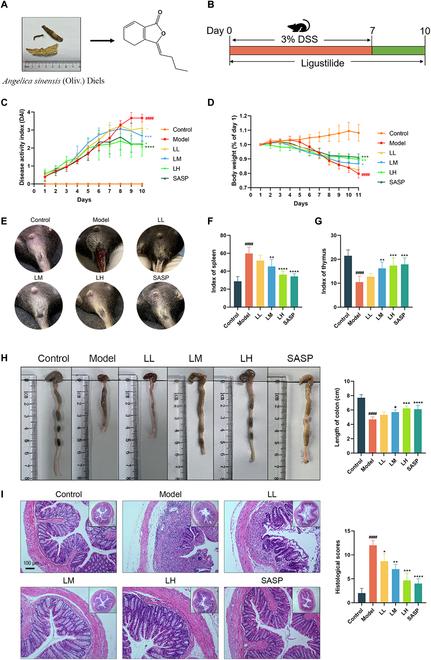 https://cdn.ncbi.nlm.nih.gov/pmc/blobs/c5ca/12404647/f47fa270056d/research.0864.fig.001.jpg