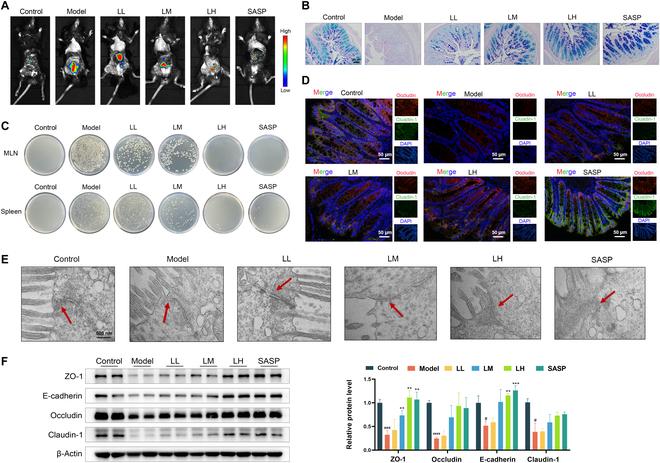 https://cdn.ncbi.nlm.nih.gov/pmc/blobs/c5ca/12404647/f795de543c84/research.0864.fig.002.jpg