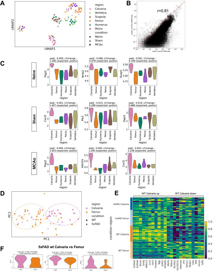 https://cdn.ncbi.nlm.nih.gov/pmc/blobs/c5cb/10443631/ddc8741d7df3/figs4.jpg