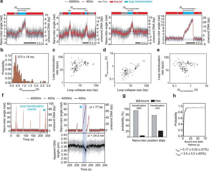 https://cdn.ncbi.nlm.nih.gov/pmc/blobs/c5cc/11142916/2b6d31842d42/41589_2023_1504_Fig8_ESM.jpg