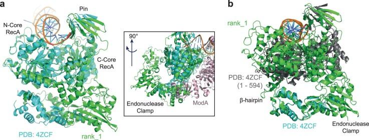 https://cdn.ncbi.nlm.nih.gov/pmc/blobs/c5cc/11142916/cc9341023d3c/41589_2023_1504_Fig14_ESM.jpg