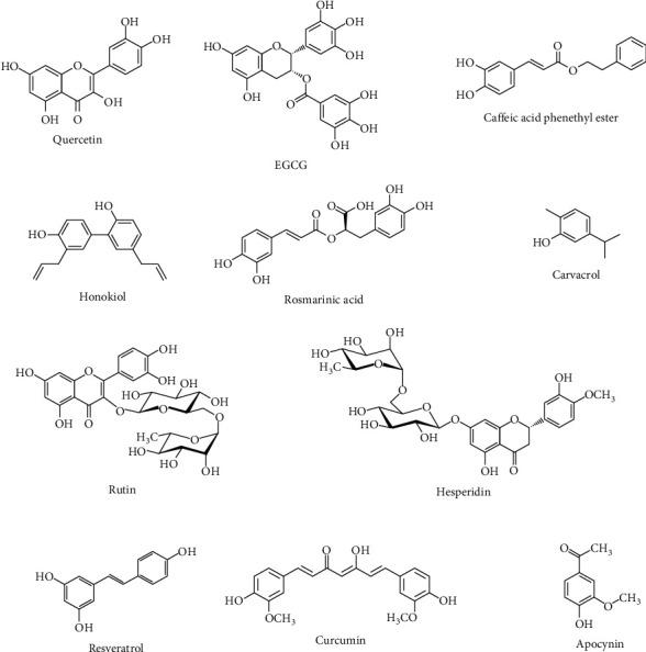 https://cdn.ncbi.nlm.nih.gov/pmc/blobs/c5cd/8759836/03b24335bf66/OMCL2022-8100195.002.jpg