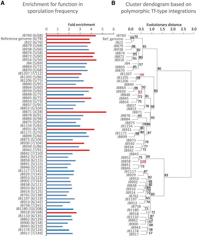 https://cdn.ncbi.nlm.nih.gov/pmc/blobs/c5ce/6314160/fb314ad69810/85f05.jpg