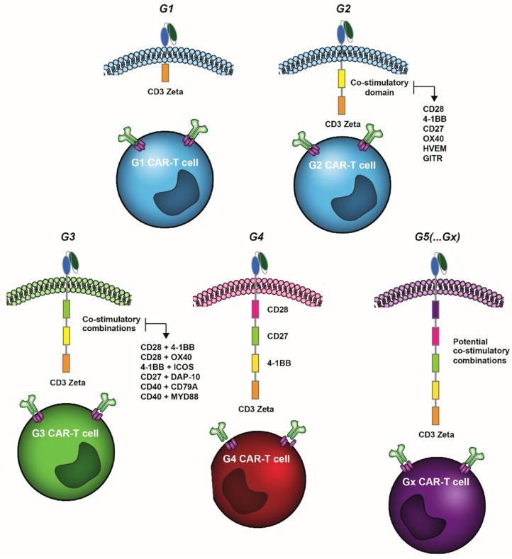 https://cdn.ncbi.nlm.nih.gov/pmc/blobs/c5ce/8773791/1dc5688faf85/cancers-14-00299-g001.jpg