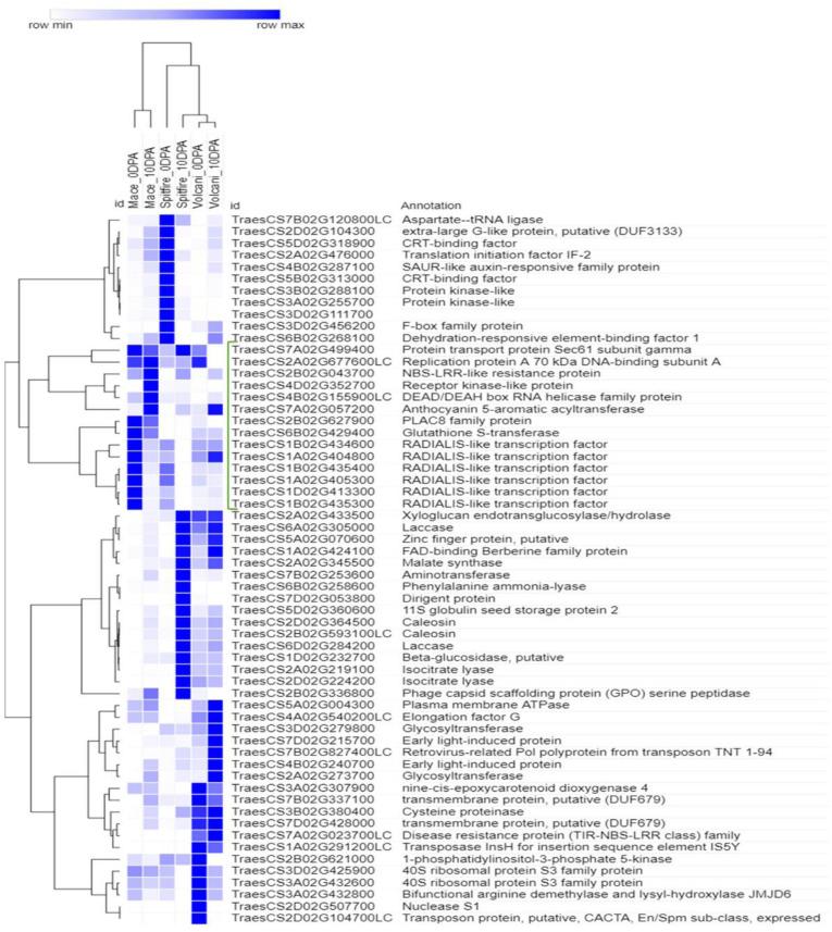 https://cdn.ncbi.nlm.nih.gov/pmc/blobs/c5d0/7554635/4f8a92af6033/fgene-11-583785-g008.jpg