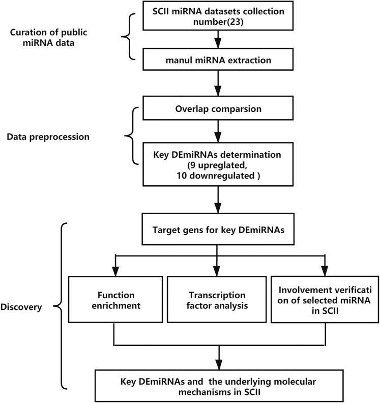https://cdn.ncbi.nlm.nih.gov/pmc/blobs/c5d0/8164840/8b4305bbec9c/peerj-09-11454-g001.jpg