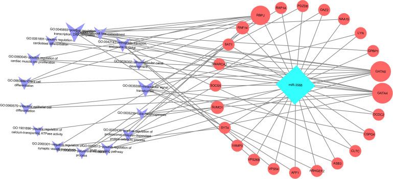 https://cdn.ncbi.nlm.nih.gov/pmc/blobs/c5d0/8164840/a5ffca661a23/peerj-09-11454-g006.jpg