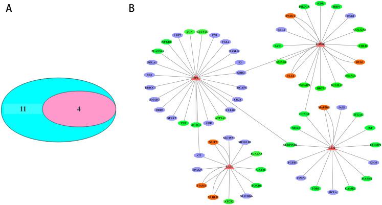https://cdn.ncbi.nlm.nih.gov/pmc/blobs/c5d0/8164840/e22ff71e6ece/peerj-09-11454-g005.jpg