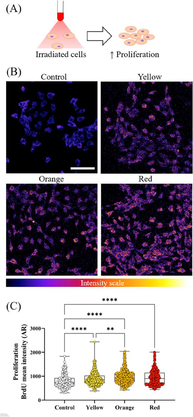 https://cdn.ncbi.nlm.nih.gov/pmc/blobs/c5d0/9640685/662ec52c1dd1/41598_2022_23751_Fig3_HTML.jpg