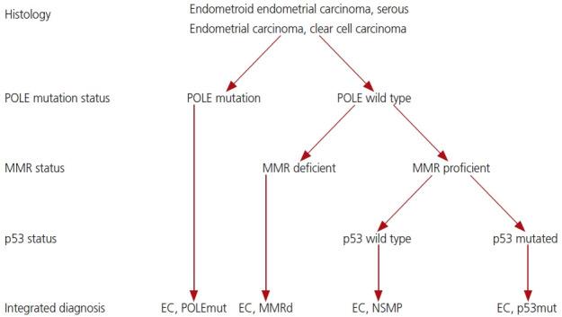 https://cdn.ncbi.nlm.nih.gov/pmc/blobs/c5d1/11424185/71baa26e2949/ogs-24120f8.jpg