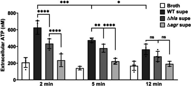 https://cdn.ncbi.nlm.nih.gov/pmc/blobs/c5d4/11168966/c3d5ca772757/MBO3-13-e23-g011.jpg