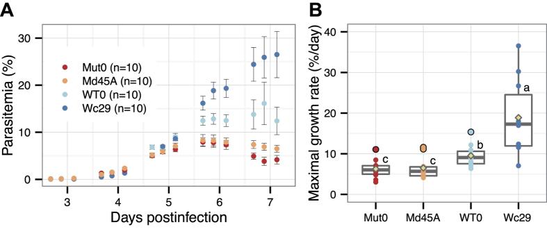 https://cdn.ncbi.nlm.nih.gov/pmc/blobs/c5d4/5109483/22de7cbe2897/srep36971-f5.jpg