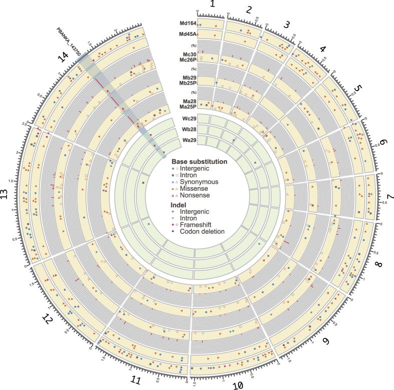 https://cdn.ncbi.nlm.nih.gov/pmc/blobs/c5d4/5109483/e2fc614d0424/srep36971-f2.jpg