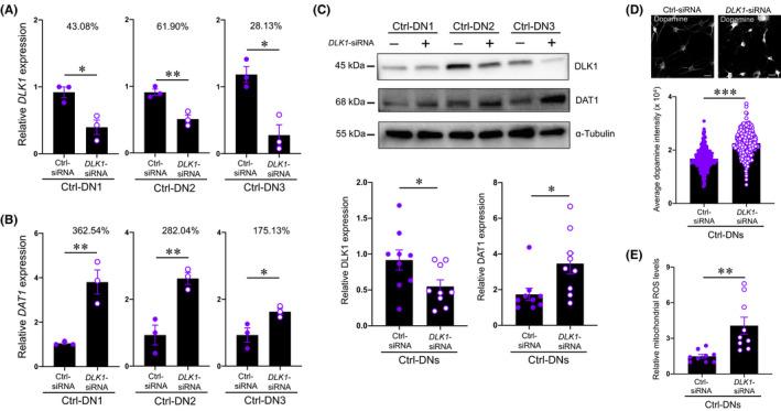 https://cdn.ncbi.nlm.nih.gov/pmc/blobs/c5d4/9254221/9f324555c915/FBA2-4-454-g003.jpg