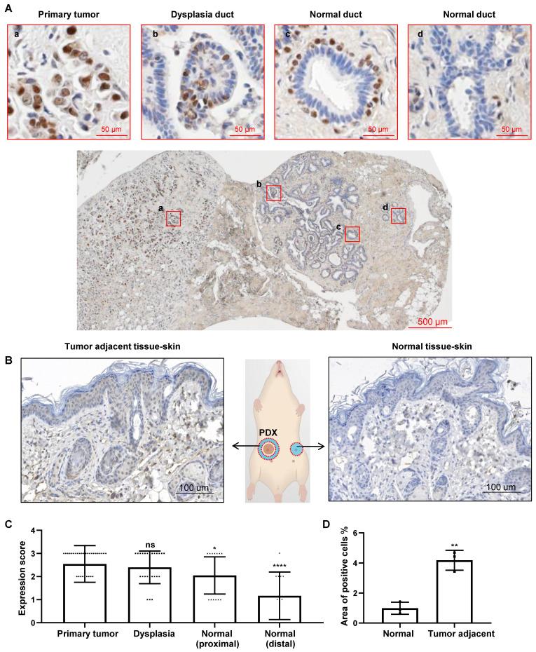 https://cdn.ncbi.nlm.nih.gov/pmc/blobs/c5d5/10758052/0a271ec6b000/thnov14p0662g001.jpg