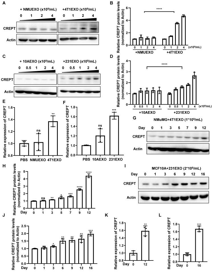 https://cdn.ncbi.nlm.nih.gov/pmc/blobs/c5d5/10758052/397f8b11a357/thnov14p0662g002.jpg