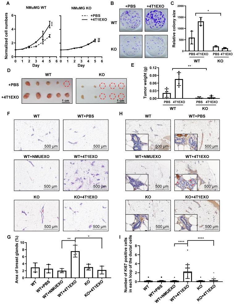 https://cdn.ncbi.nlm.nih.gov/pmc/blobs/c5d5/10758052/4de4b2f1a0fd/thnov14p0662g005.jpg