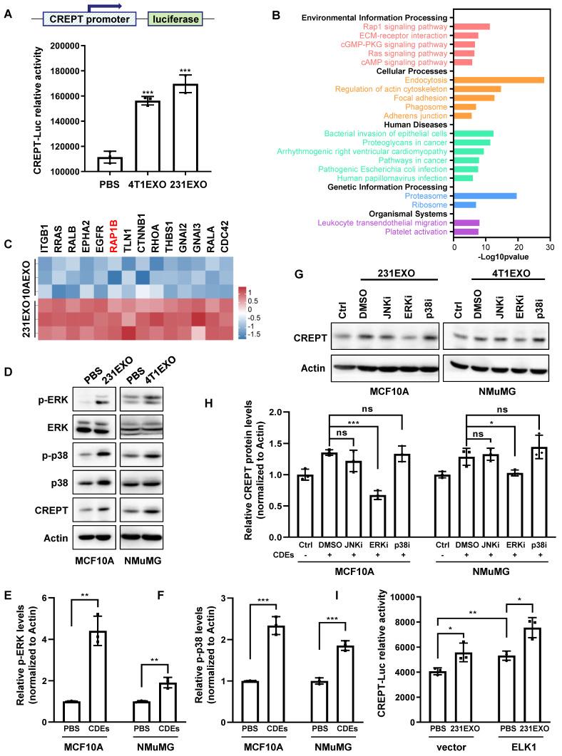 https://cdn.ncbi.nlm.nih.gov/pmc/blobs/c5d5/10758052/f5225c54e04f/thnov14p0662g003.jpg