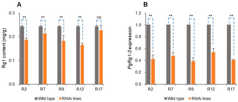 https://cdn.ncbi.nlm.nih.gov/pmc/blobs/c5d7/11244481/6a471368fc69/plants-13-01784-g007.jpg