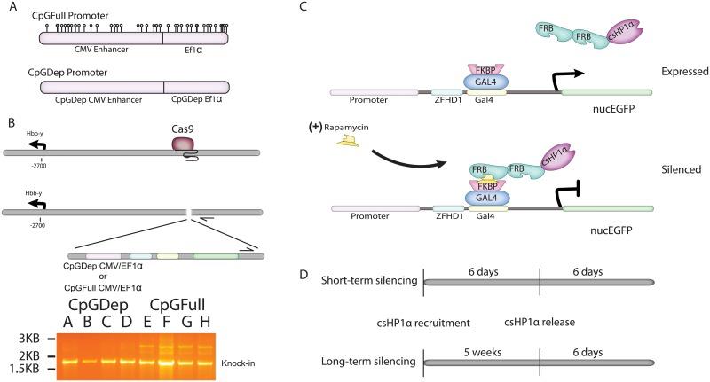 https://cdn.ncbi.nlm.nih.gov/pmc/blobs/c5d9/6608945/7cf033873592/pone.0217699.g001.jpg