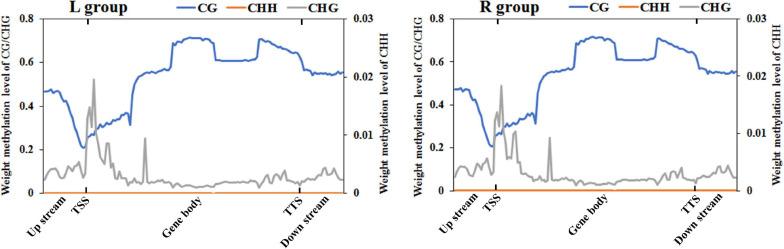 https://cdn.ncbi.nlm.nih.gov/pmc/blobs/c5d9/8298039/7b8b68ec0501/fgene-12-680115-g002.jpg