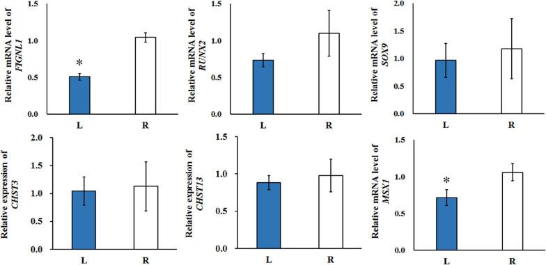 https://cdn.ncbi.nlm.nih.gov/pmc/blobs/c5d9/8298039/874ccae3089b/fgene-12-680115-g008.jpg