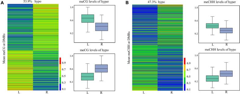 https://cdn.ncbi.nlm.nih.gov/pmc/blobs/c5d9/8298039/9910337727c4/fgene-12-680115-g004.jpg