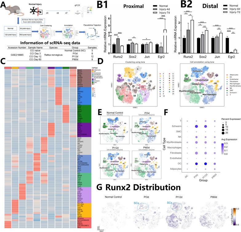 https://cdn.ncbi.nlm.nih.gov/pmc/blobs/c5da/11929166/28744285a526/10020_2025_1142_Fig1_HTML.jpg