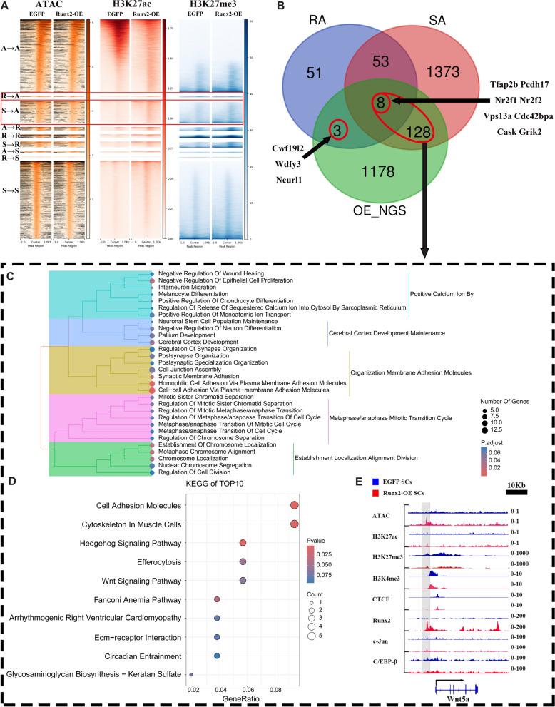 https://cdn.ncbi.nlm.nih.gov/pmc/blobs/c5da/11929166/28b7f535fb8a/10020_2025_1142_Fig6_HTML.jpg