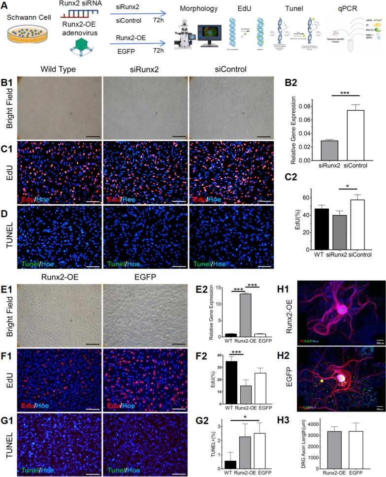 https://cdn.ncbi.nlm.nih.gov/pmc/blobs/c5da/11929166/4cb2d838573e/10020_2025_1142_Fig3_HTML.jpg