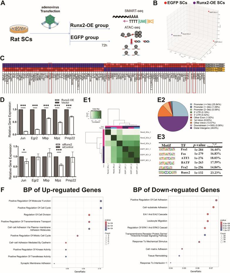 https://cdn.ncbi.nlm.nih.gov/pmc/blobs/c5da/11929166/c1cd77603143/10020_2025_1142_Fig4_HTML.jpg