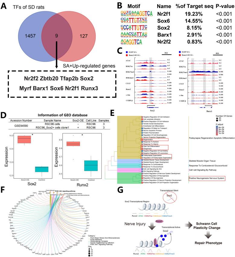 https://cdn.ncbi.nlm.nih.gov/pmc/blobs/c5da/11929166/d6254d3c43af/10020_2025_1142_Fig7_HTML.jpg