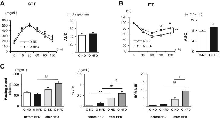 https://cdn.ncbi.nlm.nih.gov/pmc/blobs/c5da/7210595/049146761997/gr1.jpg